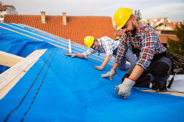 Best Roof Gutter Cleaning  in Guernsey, WY